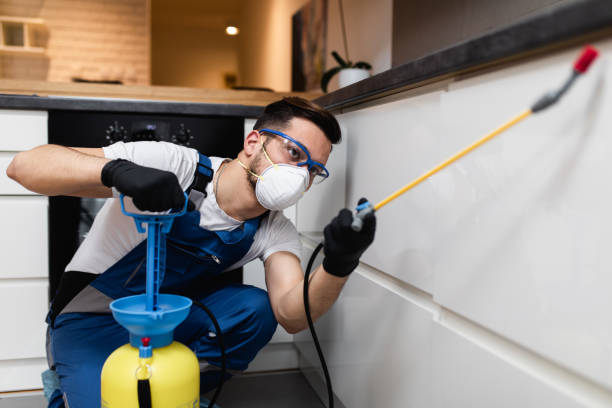 Best Commercial Pest Control Services  in Mascotte, FL