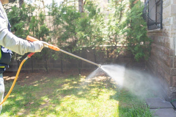 Best Insect Control  in Mascotte, FL