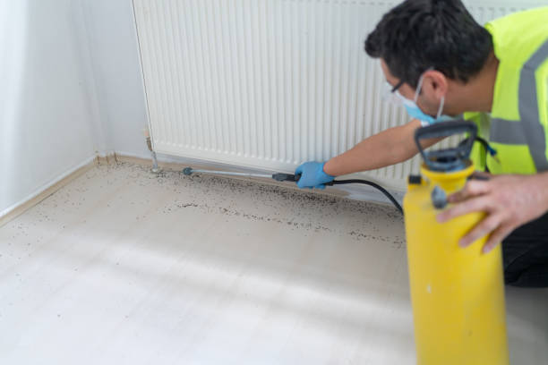 Pest Control for Restaurants in Mascotte, FL